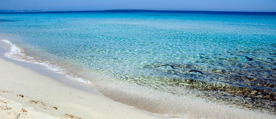 10 ideas para  2021 en Formentera